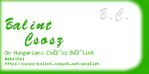 balint csosz business card